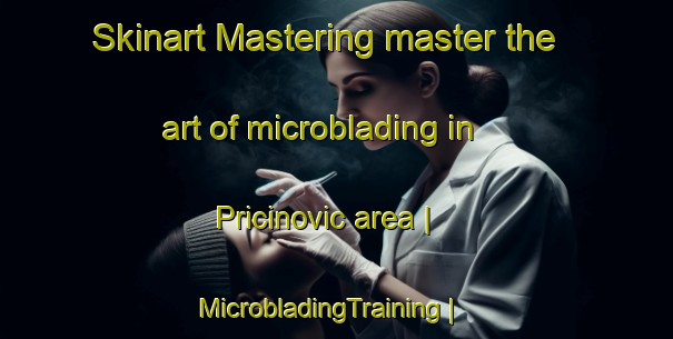 Skinart Mastering master the art of microblading in Pricinovic area | MicrobladingTraining | MicrobladingClasses | SkinartTraining-Serbia